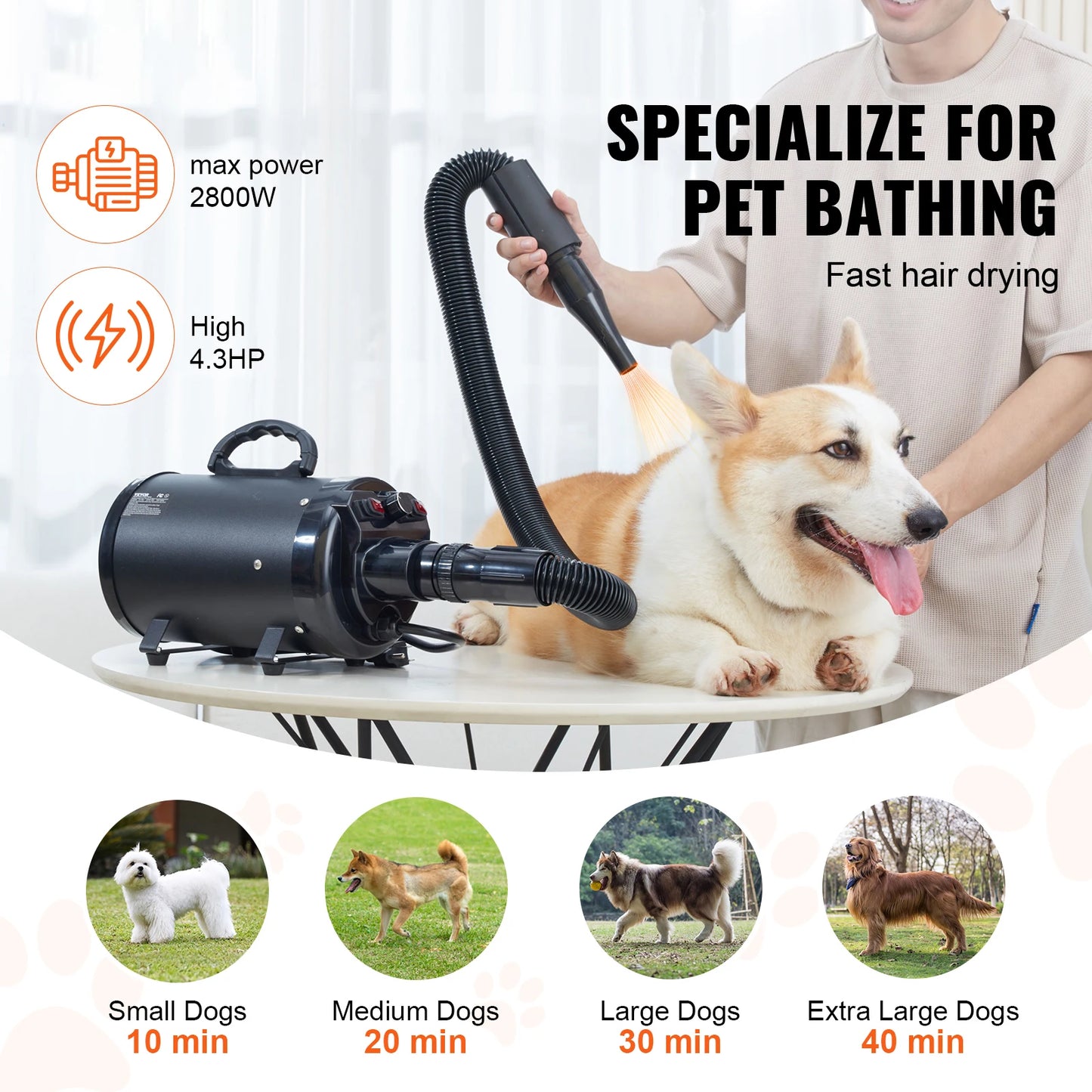 SucceBuy 2000W Dog Blow Dryer With Adjustable Speed For Grooming