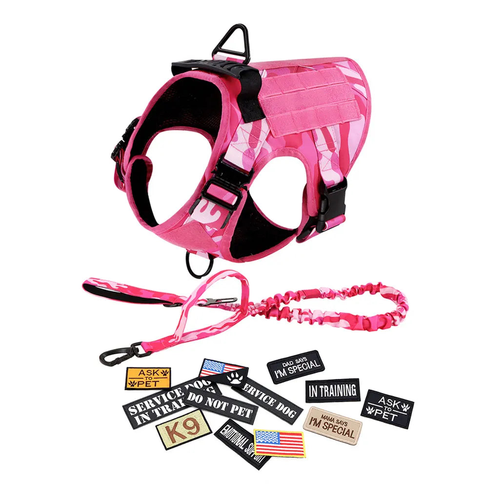 Nylon Dog Harness With Padded Comfort And Quick Release