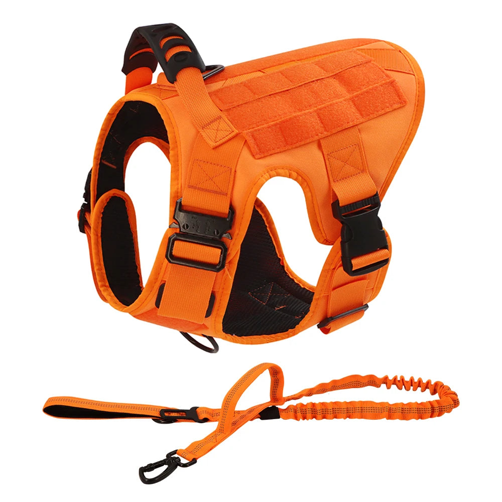 Nylon Dog Harness With Padded Comfort And Quick Release