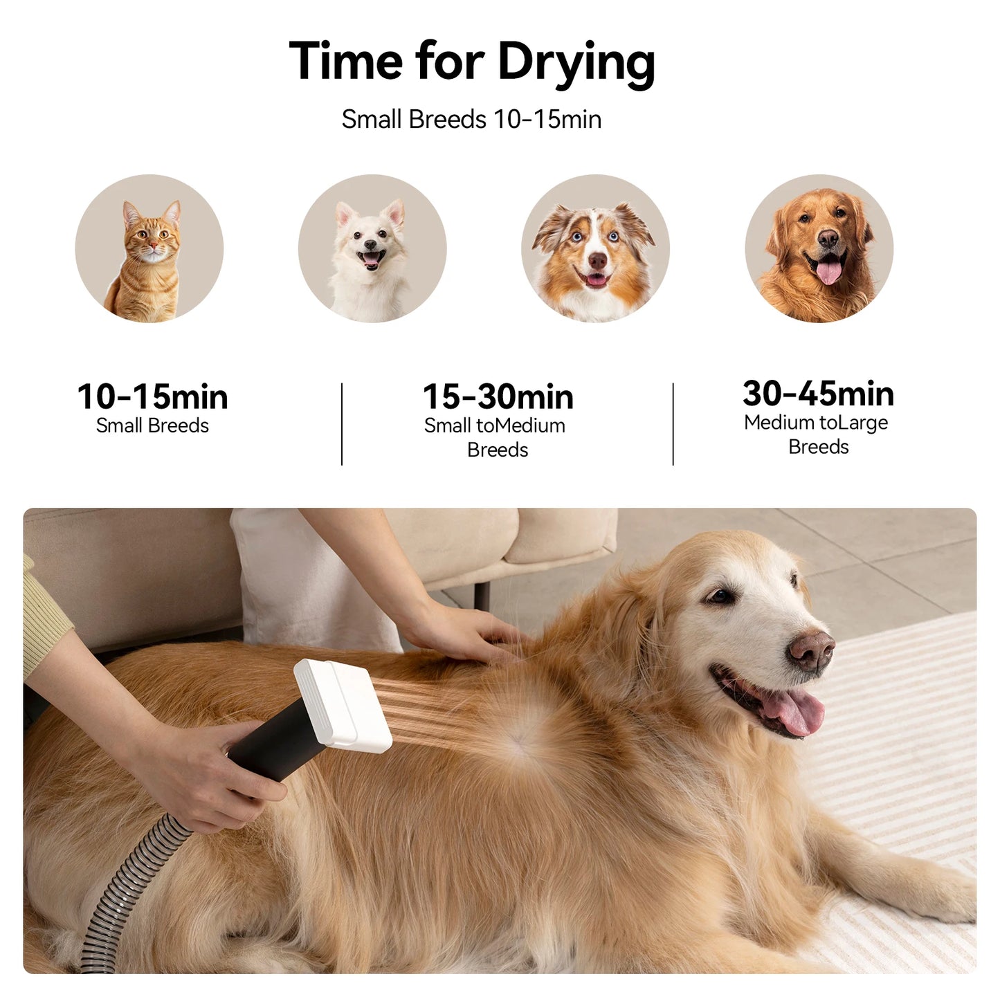 Amicura P1 3-In-1 Vacuum Hair Dryer Pet Grooming Trimmer
