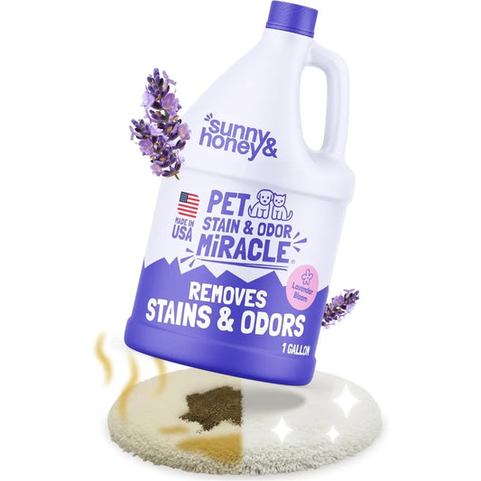 XMSJ Pet Stain Odor Remover Enzyme Cleaner For Carpets