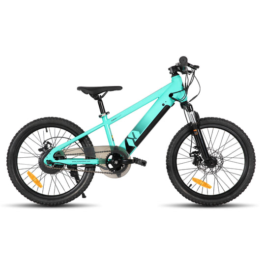 JOYSTAR Kids Electric Bike 250W Safe Mini Mountain Bicycle
