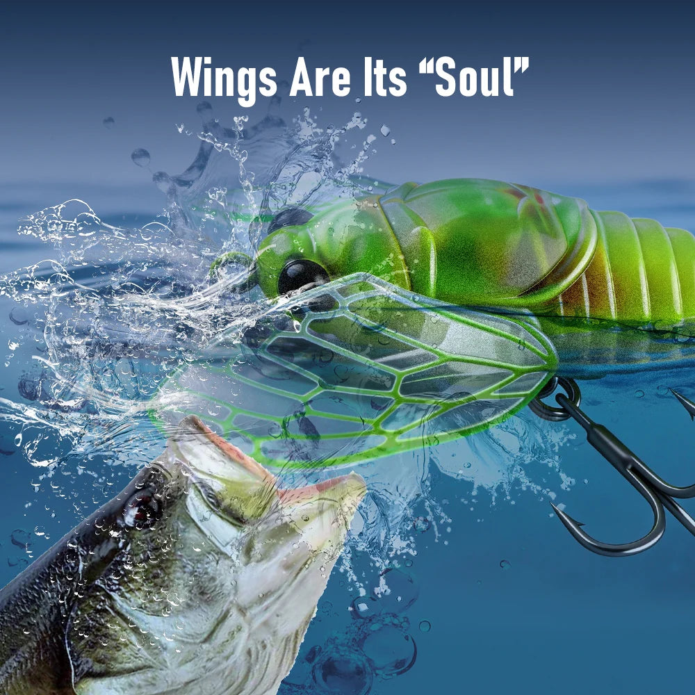 Kingdom Cicada Fishing Bait Topwater Bionic Insect Lure