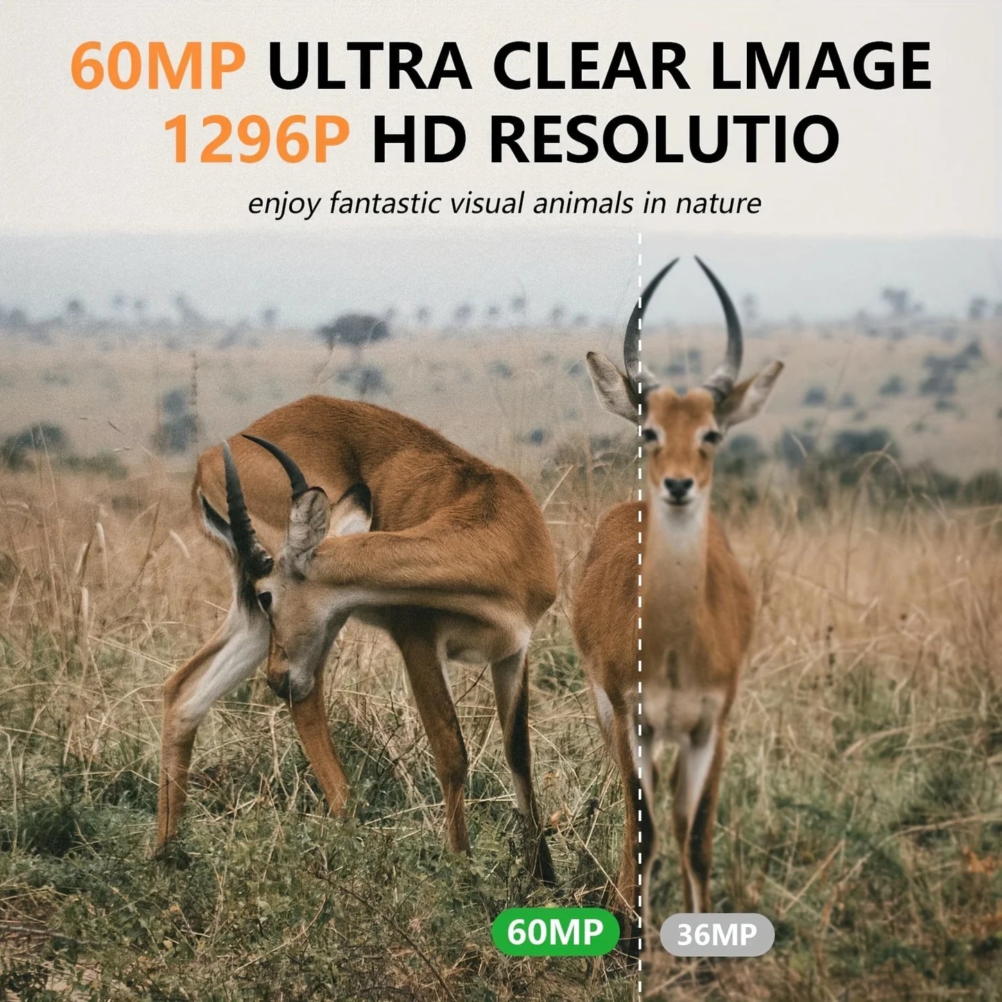 Fargarloo Trail Camera With WiFi App Control 60MP Night Vision