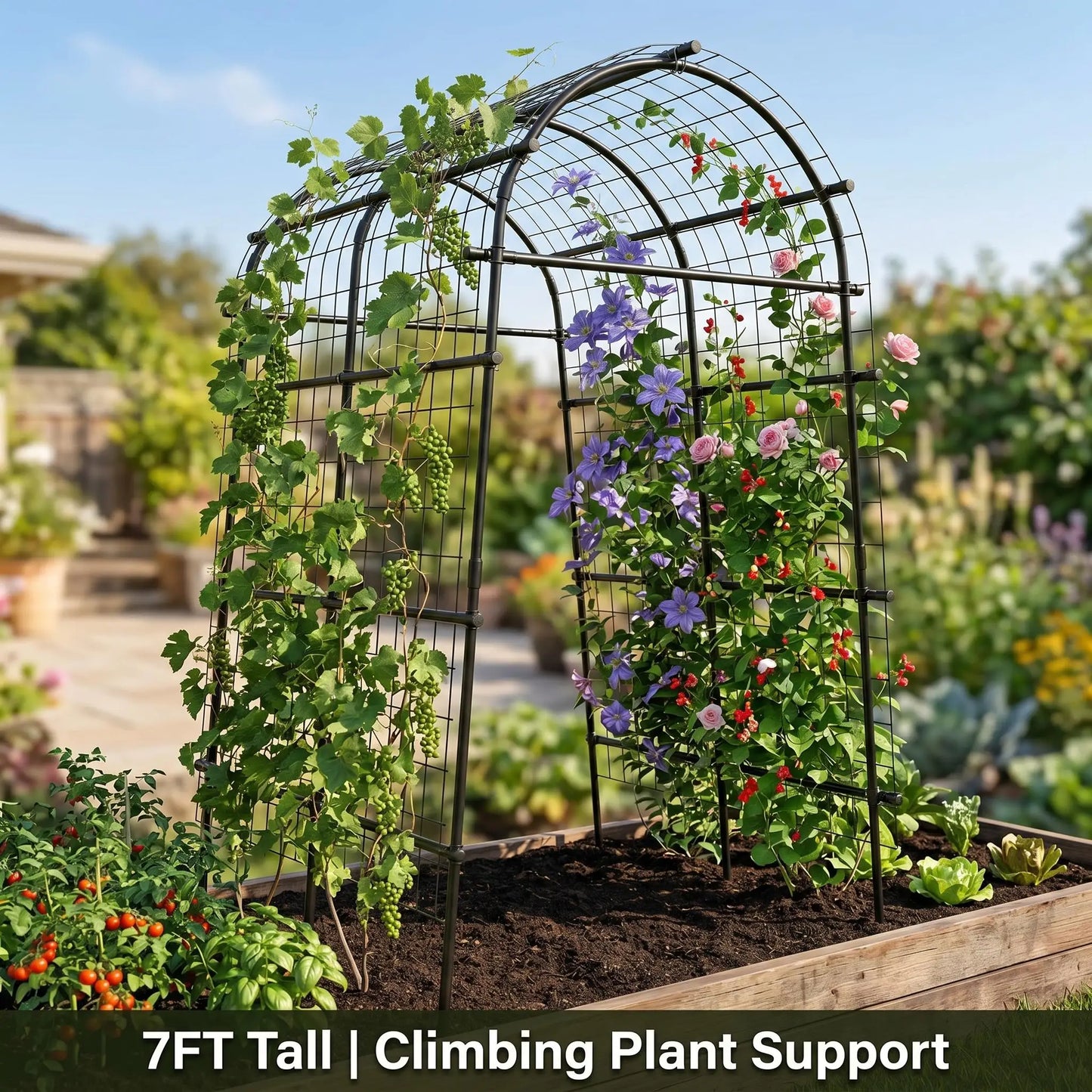 Heavy Duty Metal Garden Trellis Arch For Climbing Plants